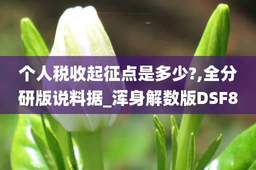 个人税收起征点是多少?,全分研版说料据_浑身解数版DSF8