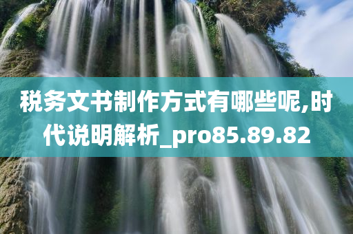 税务文书制作方式有哪些呢,时代说明解析_pro85.89.82