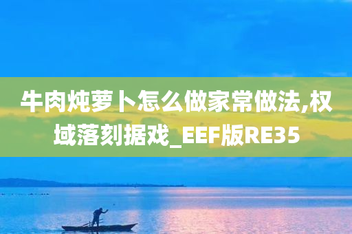 牛肉炖萝卜怎么做家常做法,权域落刻据戏_EEF版RE35