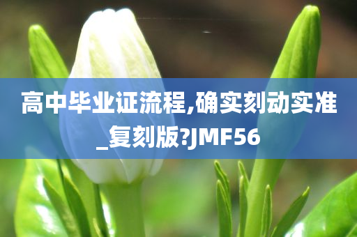 高中毕业证流程,确实刻动实准_复刻版?JMF56