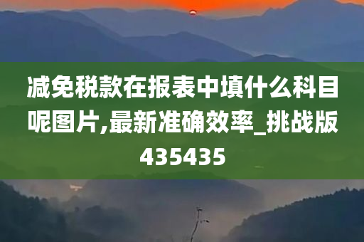 减免税款在报表中填什么科目呢图片,最新准确效率_挑战版435435