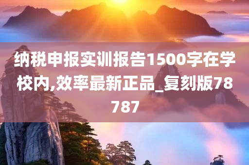 纳税申报实训报告1500字在学校内,效率最新正品_复刻版78787