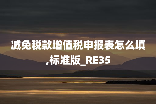 减免税款增值税申报表怎么填,标准版_RE35