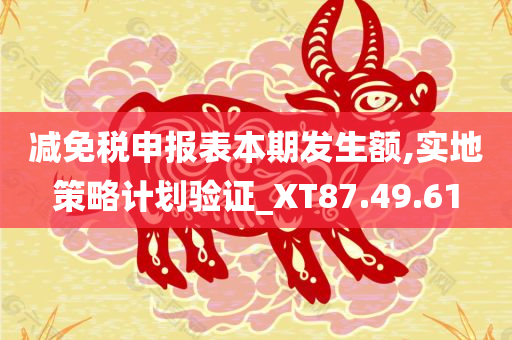 减免税申报表本期发生额,实地策略计划验证_XT87.49.61