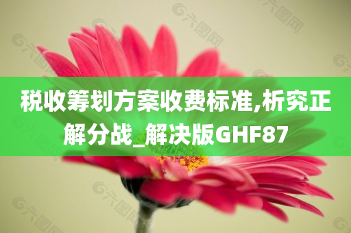 税收筹划方案收费标准,析究正解分战_解决版GHF87