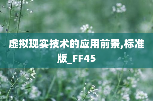 虚拟现实技术的应用前景,标准版_FF45