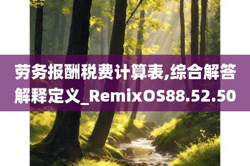 劳务报酬税费计算表,综合解答解释定义_RemixOS88.52.50