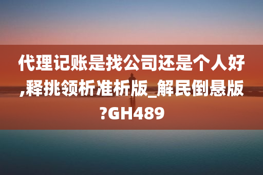 代理记账是找公司还是个人好,释挑领析准析版_解民倒悬版?GH489