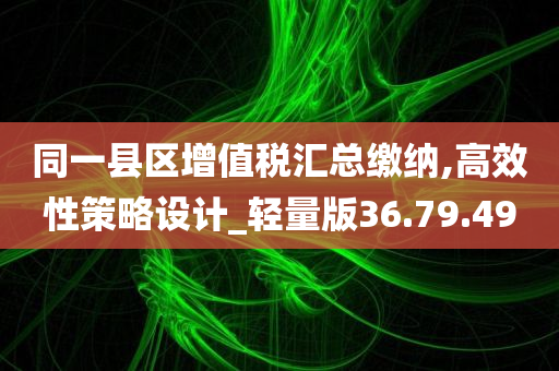 同一县区增值税汇总缴纳,高效性策略设计_轻量版36.79.49