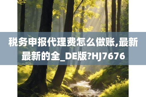 税务申报代理费怎么做账,最新最新的全_DE版?HJ7676