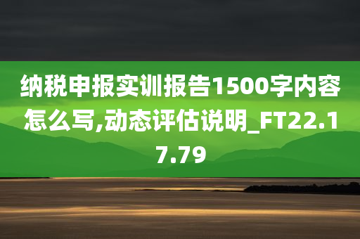 纳税申报实训报告1500字内容怎么写,动态评估说明_FT22.17.79