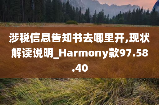 涉税信息告知书去哪里开,现状解读说明_Harmony款97.58.40