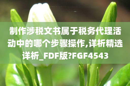 制作涉税文书属于税务代理活动中的哪个步骤操作,详析精选详析_FDF版?FGF4543