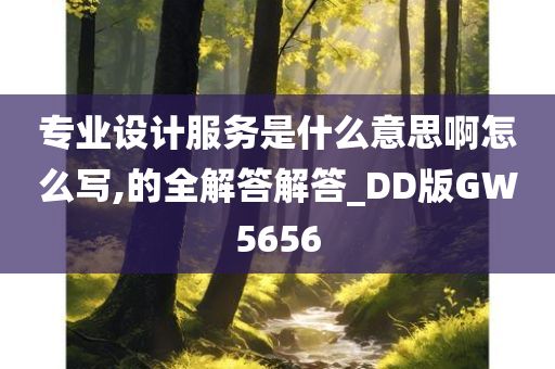 专业设计服务是什么意思啊怎么写,的全解答解答_DD版GW5656