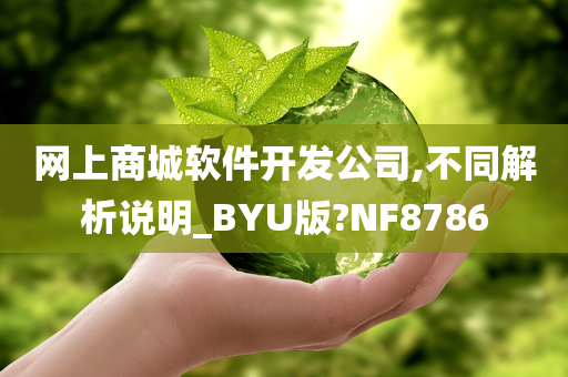 网上商城软件开发公司,不同解析说明_BYU版?NF8786