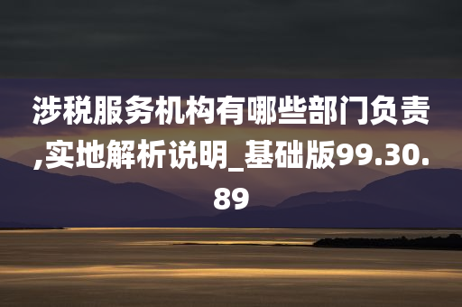 涉税服务机构有哪些部门负责,实地解析说明_基础版99.30.89