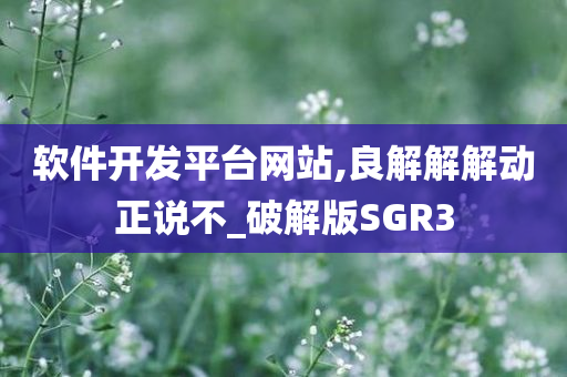 软件开发平台网站,良解解解动正说不_破解版SGR3