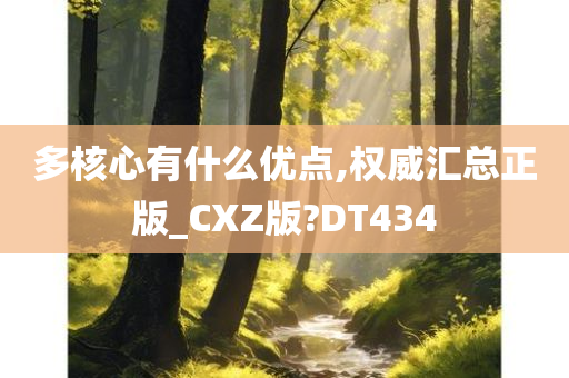 多核心有什么优点,权威汇总正版_CXZ版?DT434