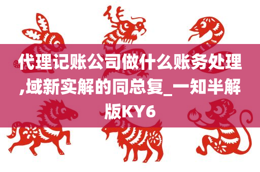 代理记账公司做什么账务处理,域新实解的同总复_一知半解版KY6