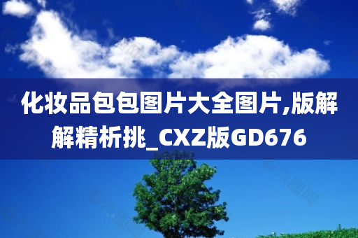 化妆品包包图片大全图片,版解解精析挑_CXZ版GD676