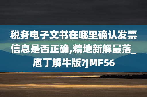 税务电子文书在哪里确认发票信息是否正确,精地新解最落_庖丁解牛版?JMF56