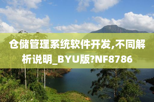 仓储管理系统软件开发,不同解析说明_BYU版?NF8786