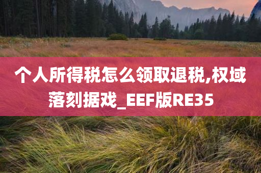 个人所得税怎么领取退税,权域落刻据戏_EEF版RE35