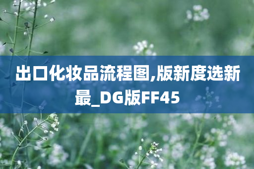 出口化妆品流程图,版新度选新最_DG版FF45