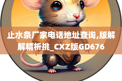 止水条厂家电话地址查询,版解解精析挑_CXZ版GD676