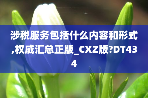 涉税服务包括什么内容和形式,权威汇总正版_CXZ版?DT434