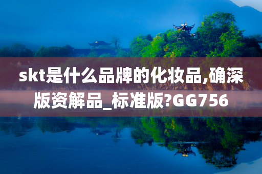 skt是什么品牌的化妆品,确深版资解品_标准版?GG756