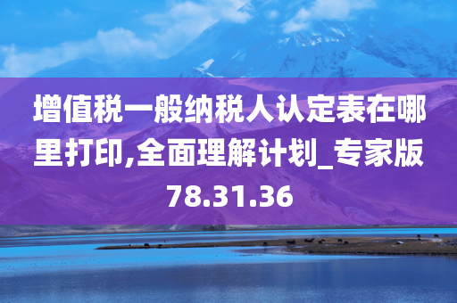 增值税一般纳税人认定表在哪里打印,全面理解计划_专家版78.31.36