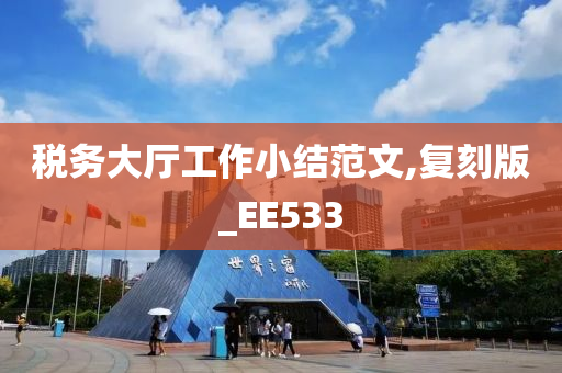 税务大厅工作小结范文,复刻版_EE533