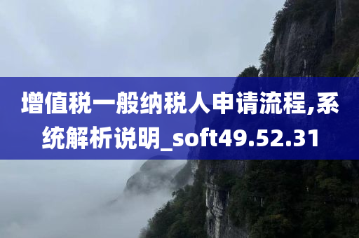 增值税一般纳税人申请流程,系统解析说明_soft49.52.31