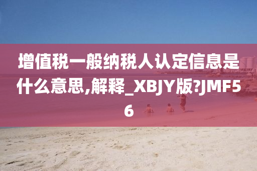 增值税一般纳税人认定信息是什么意思,解释_XBJY版?JMF56