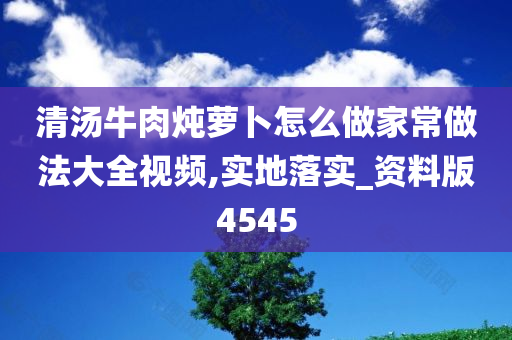 清汤牛肉炖萝卜怎么做家常做法大全视频,实地落实_资料版4545