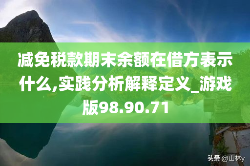 减免税款期末余额在借方表示什么,实践分析解释定义_游戏版98.90.71