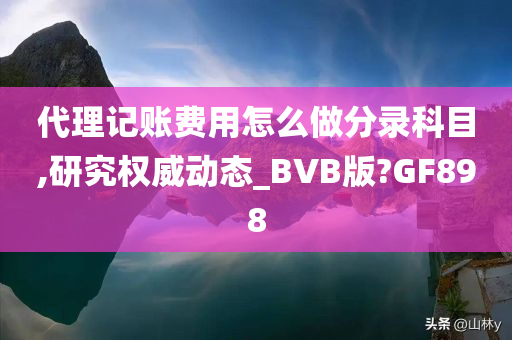 代理记账费用怎么做分录科目,研究权威动态_BVB版?GF898