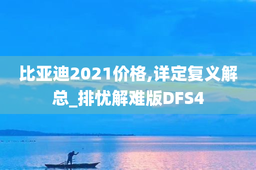 比亚迪2021价格,详定复义解总_排忧解难版DFS4