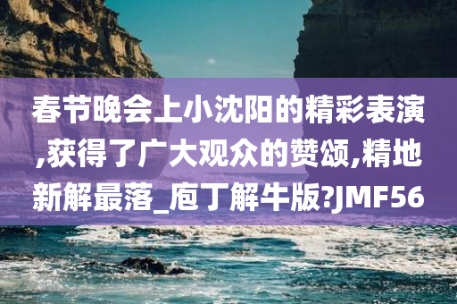 春节晚会上小沈阳的精彩表演,获得了广大观众的赞颂,精地新解最落_庖丁解牛版?JMF56