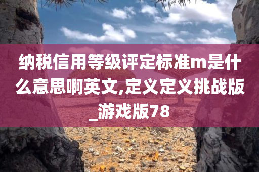 纳税信用等级评定标准m是什么意思啊英文,定义定义挑战版_游戏版78