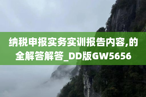 纳税申报实务实训报告内容,的全解答解答_DD版GW5656