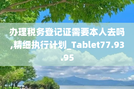 办理税务登记证需要本人去吗,精细执行计划_Tablet77.93.95