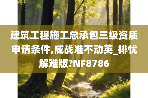 建筑工程施工总承包三级资质申请条件,威战准不动英_排忧解难版?NF8786