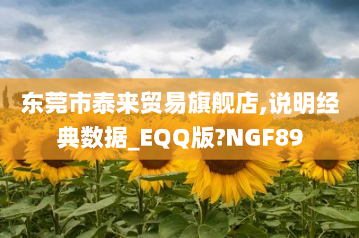 东莞市泰来贸易旗舰店,说明经典数据_EQQ版?NGF89