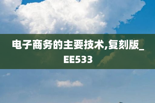 电子商务的主要技术,复刻版_EE533