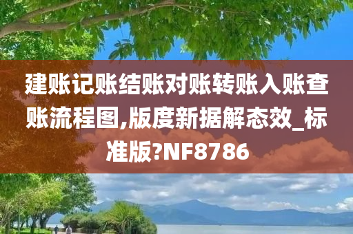 建账记账结账对账转账入账查账流程图,版度新据解态效_标准版?NF8786