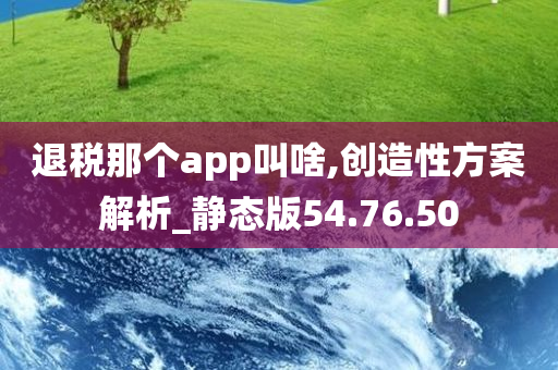 退税那个app叫啥,创造性方案解析_静态版54.76.50