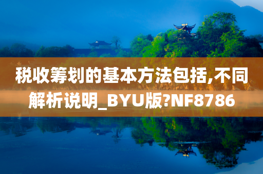 税收筹划的基本方法包括,不同解析说明_BYU版?NF8786