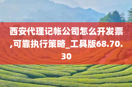 西安代理记帐公司怎么开发票,可靠执行策略_工具版68.70.30